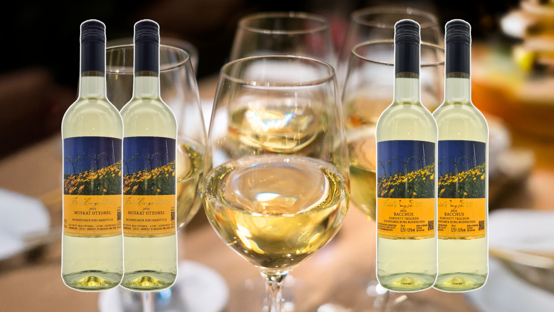 Entdecken Sie unsere Frühlingsweine